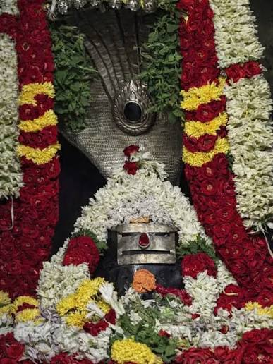 Sri Mogileeswara Swamy adorned with flowers and garlands